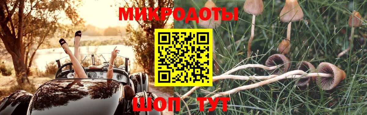Озёрск  Псилоцибиновые грибы GOLDEN TEACHER  где продают   Вход с VPN  Галлюциногенные грибы ЛСД 